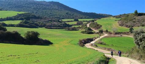 ligar en el camino de santiago|Consejos para ligar en el Camino de Santiago: Encuentra el .